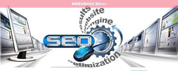 聊城陽谷網站優化、SEO與計算機軟件開發銷售一體化服務解析